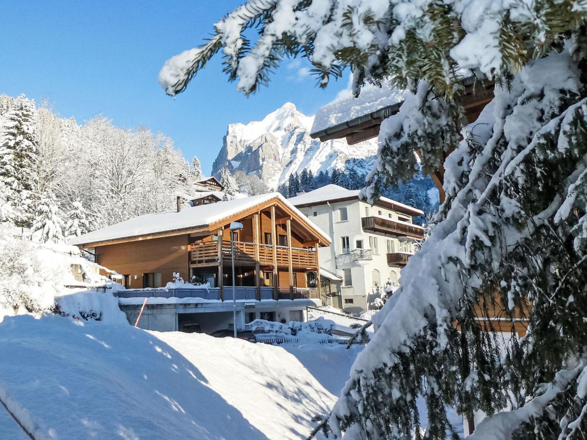 Apartment Chalet La Muntaniala By Interhome Гриндельвальд Экстерьер фото
